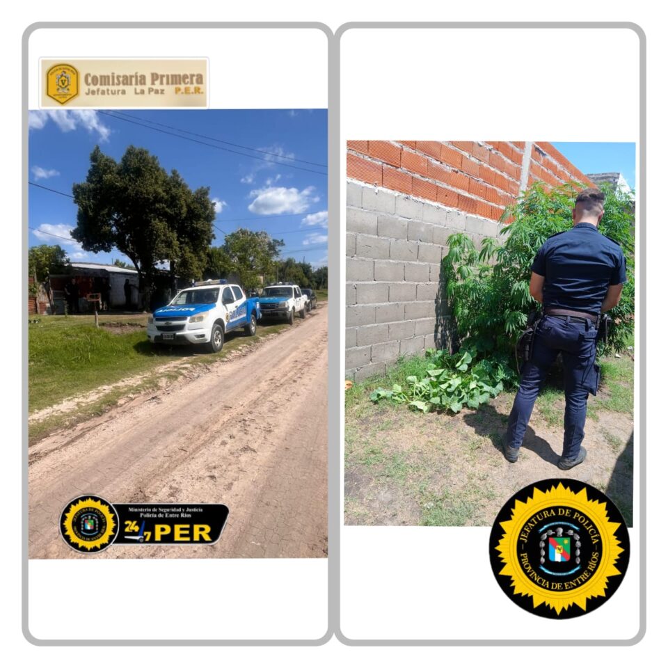 JEFATURA DEPARTAMENTAL LA PAZ COMISARÍA PRIMERA