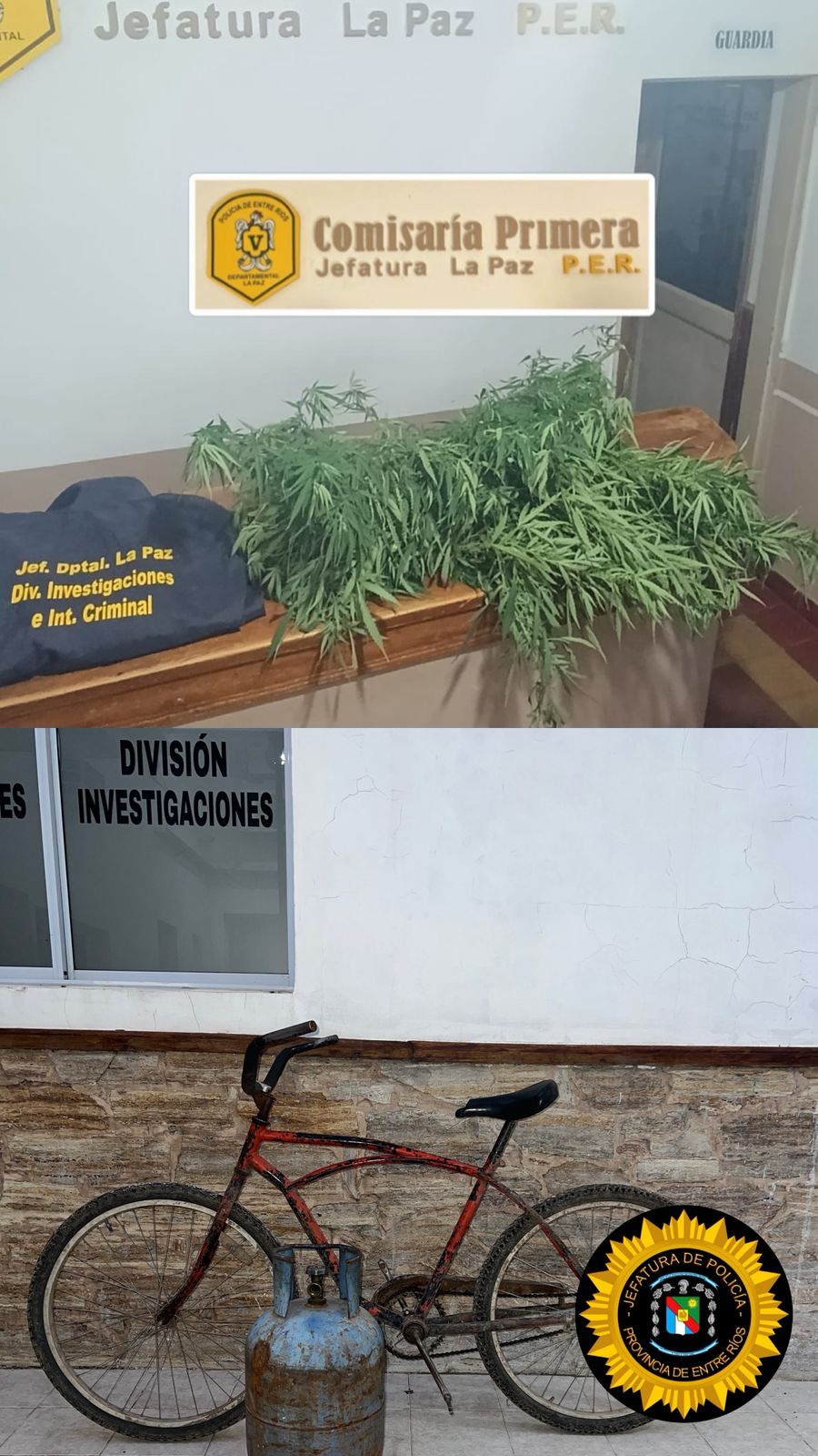 DGDP JEFATURA DPTAL LA PAZ  DIV. INVESTIGACIONES E INTELIGENCIA CRIMINAL y CRIA PRIMERA