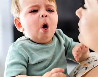 Entre Ríos registra casos de una nueva variante de la bacteria de la tos convulsa