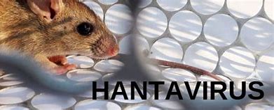 Hantavirus en Entre Ríos: más casos, más letales — la salud pública en alerta