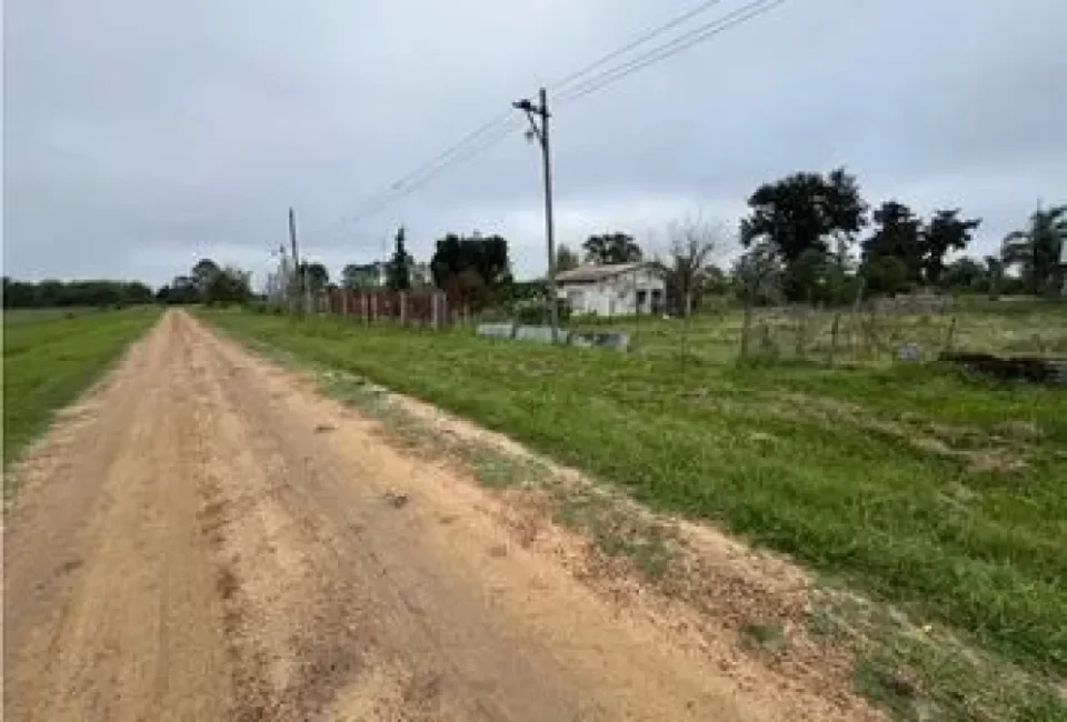 Alertan por enfermedades neurológicas “invisibles” en la zona rural entrerriana