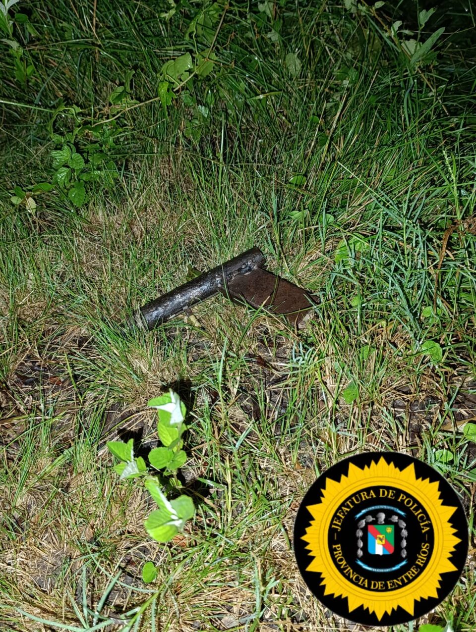 JEFATURA DEPARTAMENTAL LA PAZ COMISARÍA PRIMERA