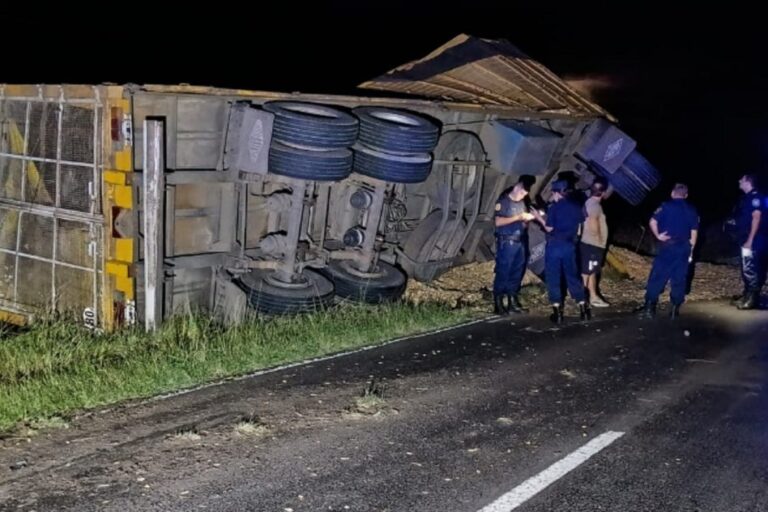 “Ruta 12: tras un choque, un conductor se disparó en la cabeza”