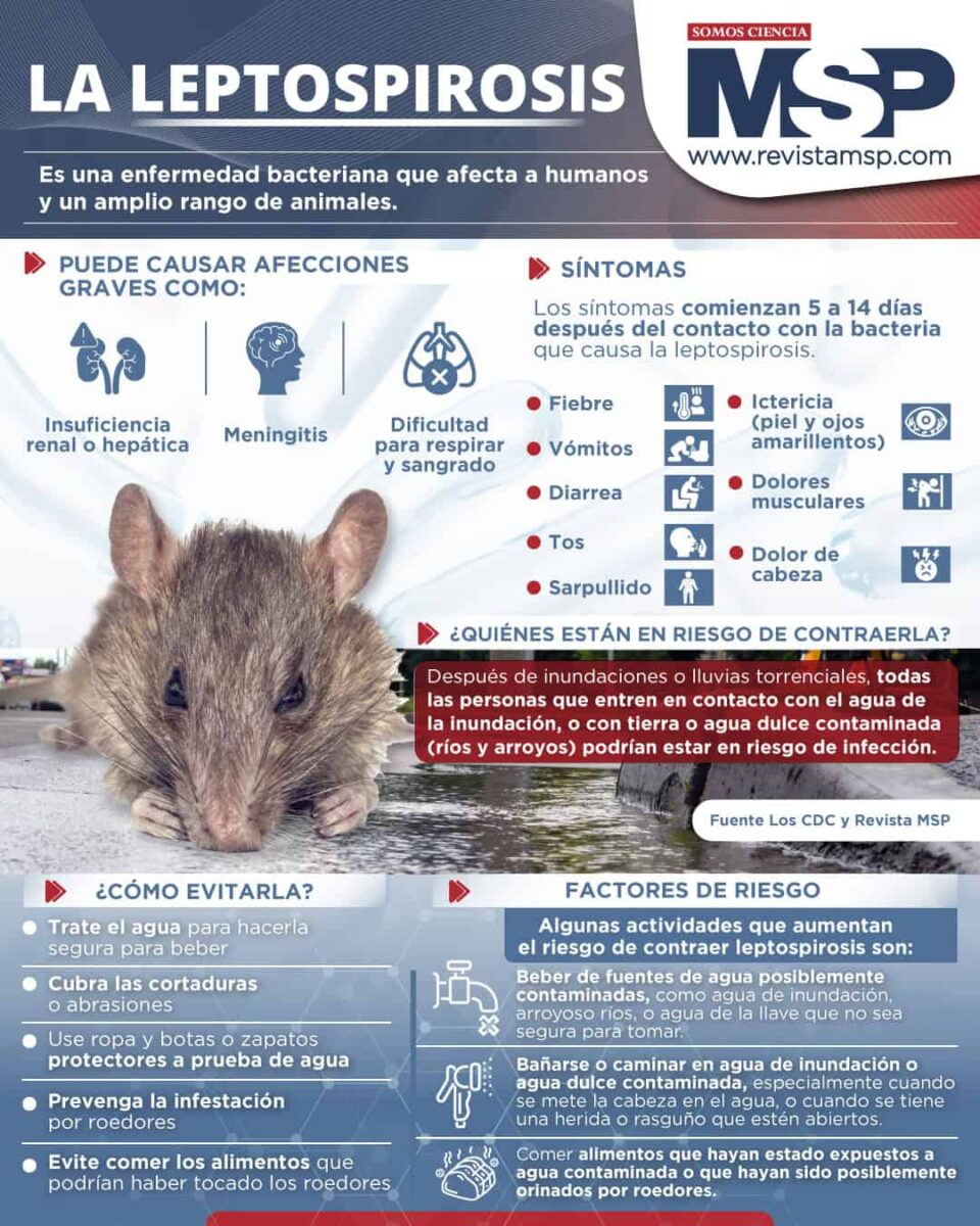 “Alerta sanitaria en Victoria: confirman un fallecimiento por leptospirosis y estudian nuevos casos”