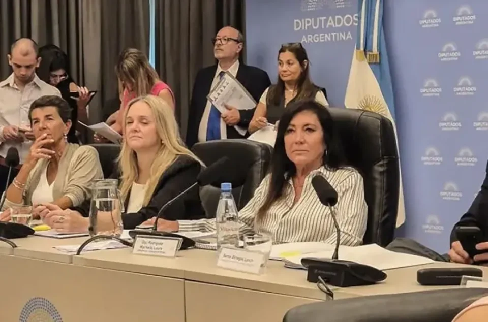 El Gobierno logró el dictamen para bajar la edad de imputabilidad a los 14 años: Hoy se trata en Diputados