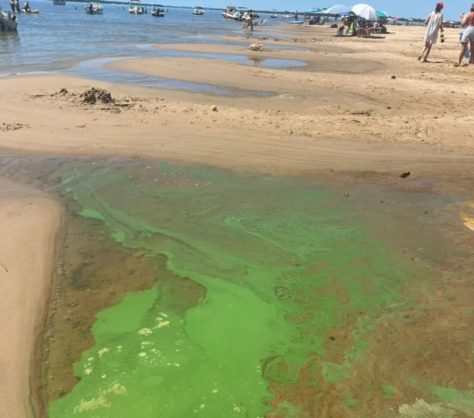 “Concepción del Uruguay: alertan por presencia de cianobacterias en los balnearios”