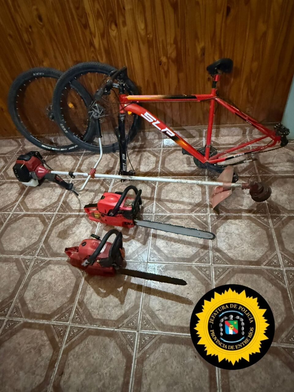 DGDP JEFATURA DPTAL LA PAZ CRIA BOVRIL  HURTO