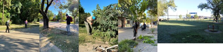 LIMPIEZA Y MANTENIMIENTO DE LA CIUDAD