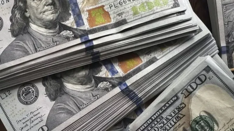 **Un año de flexibilización cambiaria: la fuga que debilitó las reservas**