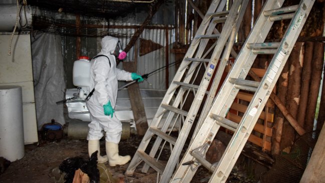 Entre Ríos: confirman un caso de hantavirus y dos de chikungunya