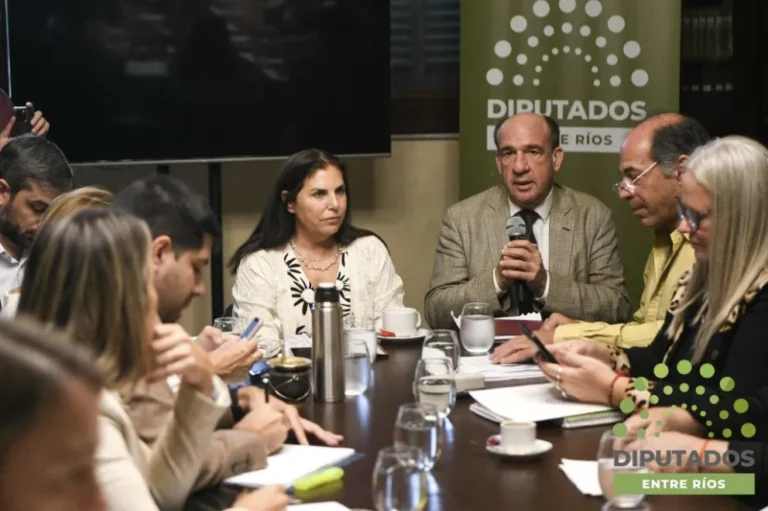 Intriga legislativa: Diputados avanzan en el procedimiento de juicio político y en proyectos de alcance institucional