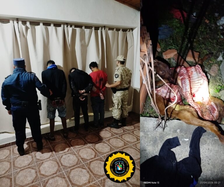 JEFATURA DEPARTAMENTAL LA PAZ COMISARÍA BOVRIL