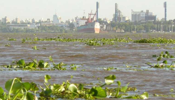 “El Niño: ¿un fantasma que acecha al Paraná en primavera?”
