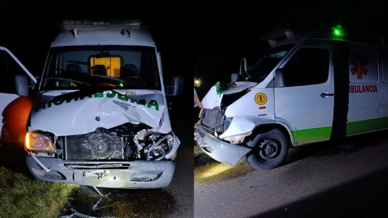 Ambulancia chocó contra un vacuno en la Ruta 4 durante la madrugada