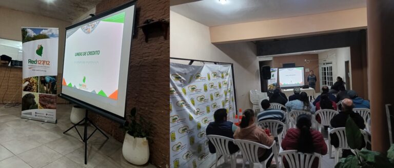 Producción y desarrollo local en San Gustavo