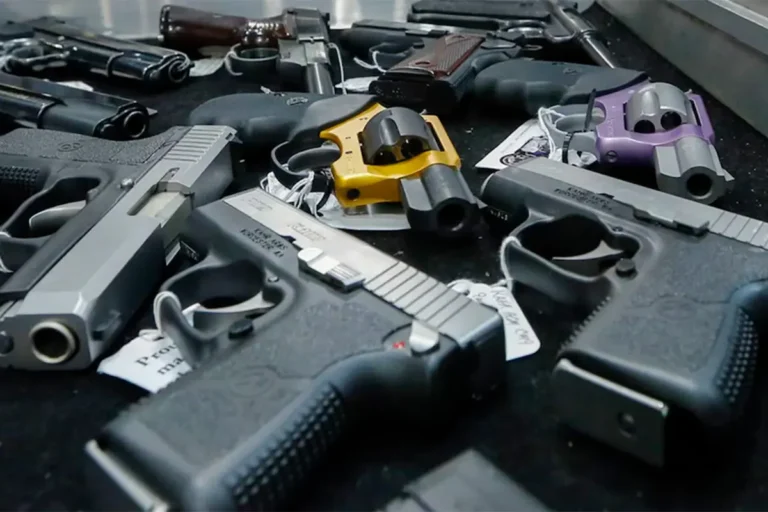 “Armas sin registrar: un año para regularizarlas y prórroga de la entrega voluntaria”