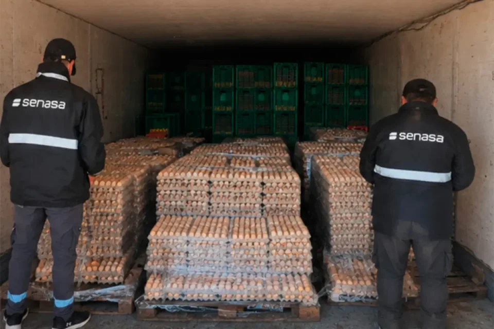 “SENASA decomisó más de 4.800 docenas de huevos sin garantías sanitarias en Corrientes”