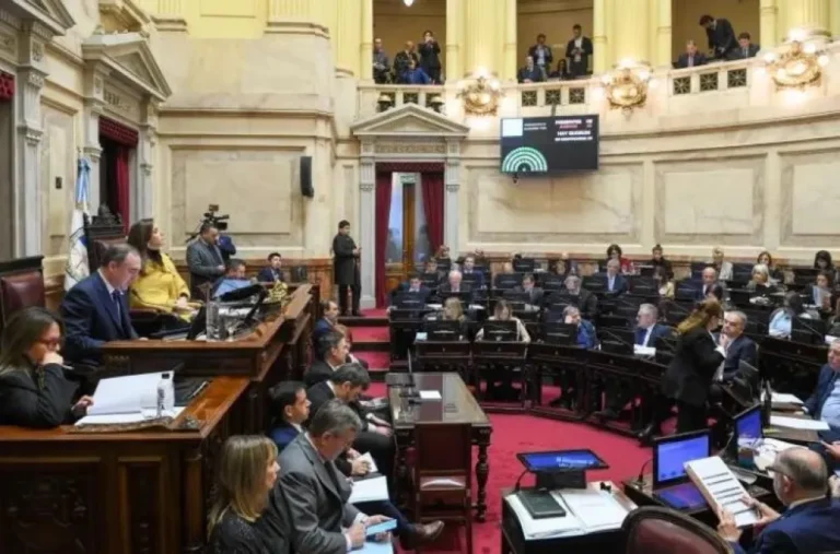 “El Senado debate sin Michelli: sesión clave con pliegos y proyectos económicos”