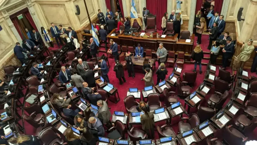 Cuánto cobra cada senador nacional: aumentos, donaciones y los que se quedan con todo en medio de la crisis económica y el debate por la transparencia política