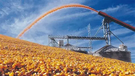 “La Bolsa de Rosario recorta proyección de divisas del agro: el ingreso caerá a USD 34.897 millones por baja de precios internacionales”