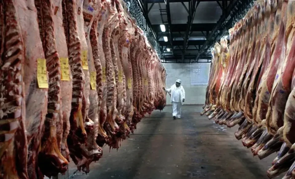 Carne vacuna: la Sociedad Rural de Entre Ríos respalda el aporte voluntario al IPCVA y propone una modernización con cargos ad honorem, gerencia profesional y máxima transparencia en el uso de fondos