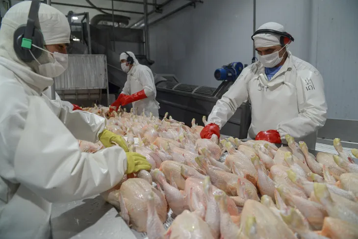 “El pollo desplaza a la carne vacuna: récord histórico de consumo en Argentina”
