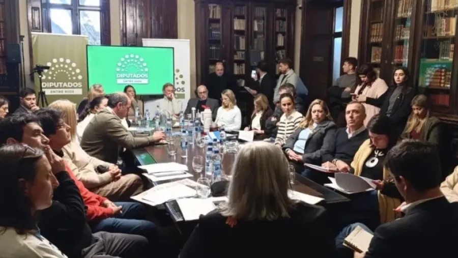 “Cánepa alerta: la reforma jubilatoria puede abrir tensiones jurisprudenciales”