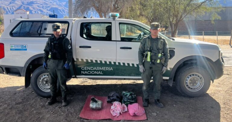 Gendarmería decomisó más de 17 kilos de marihuana durante controles a colectivos en Tucumán El estupefaciente fue incautado durante tres procedimientos distintos realizados sobre la Ruta Nacional Nº 40.