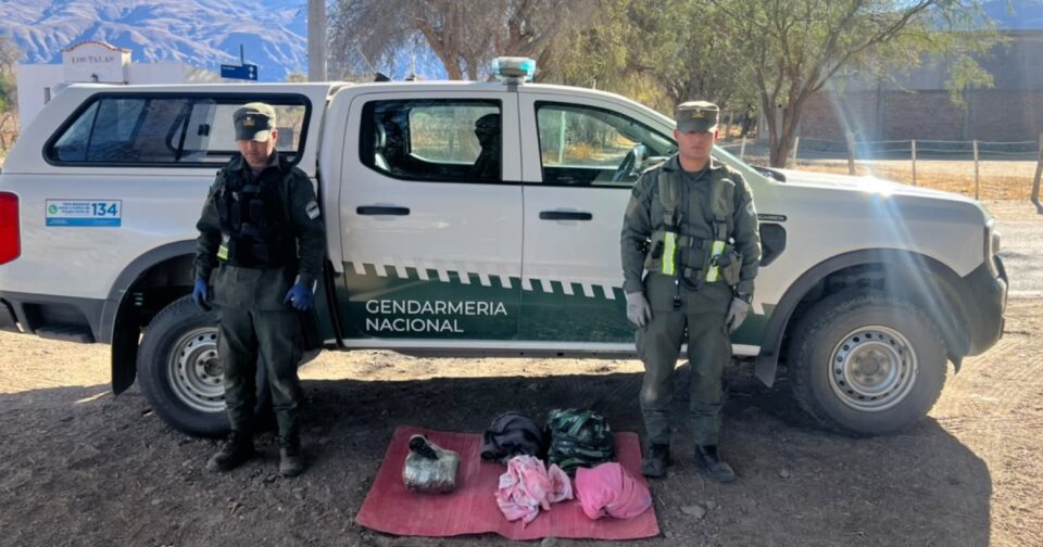 Gendarmería decomisó más de 17 kilos de marihuana durante controles a colectivos en Tucumán El estupefaciente fue incautado durante tres procedimientos distintos realizados sobre la Ruta Nacional Nº 40.