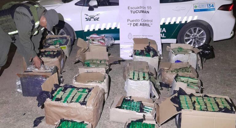 Tucumán: Secuestraron 186 kilos de hojas de coca y 71 pescados en dos procedimientos
