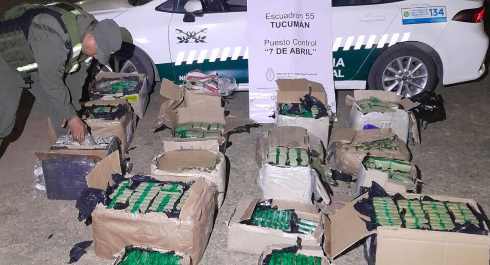 Tucumán: Secuestraron 186 kilos de hojas de coca y 71 pescados en dos procedimientos