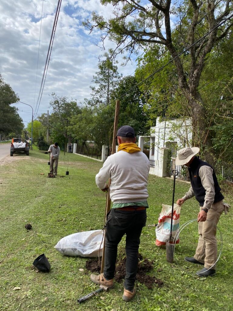 “Más árboles para nuestra ciudad: liquidámbar, lapachos amarillos y patas de vaca transforman los espacios urbanos en Hipólito Yrigoyen y La Curtiembre”