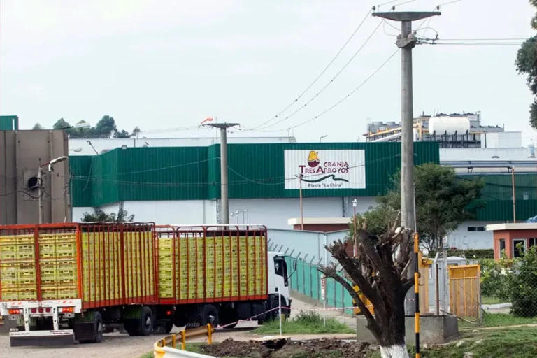 “Granja Tres Arroyos busca evitar la quiebra: reestructuración de deuda por más de US$350 millones, venta de tres unidades en Entre Ríos y apertura a nuevos socios para sostener la continuidad empresarial”