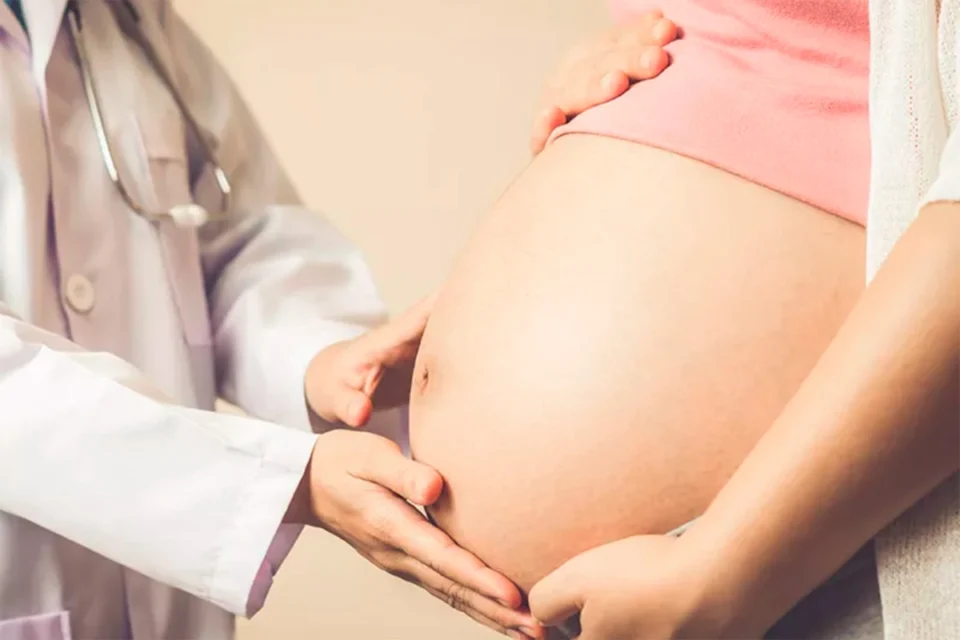 “Licencia por maternidad en casas particulares: requisitos, trámites y cobertura de la asignación que reemplaza el salario”