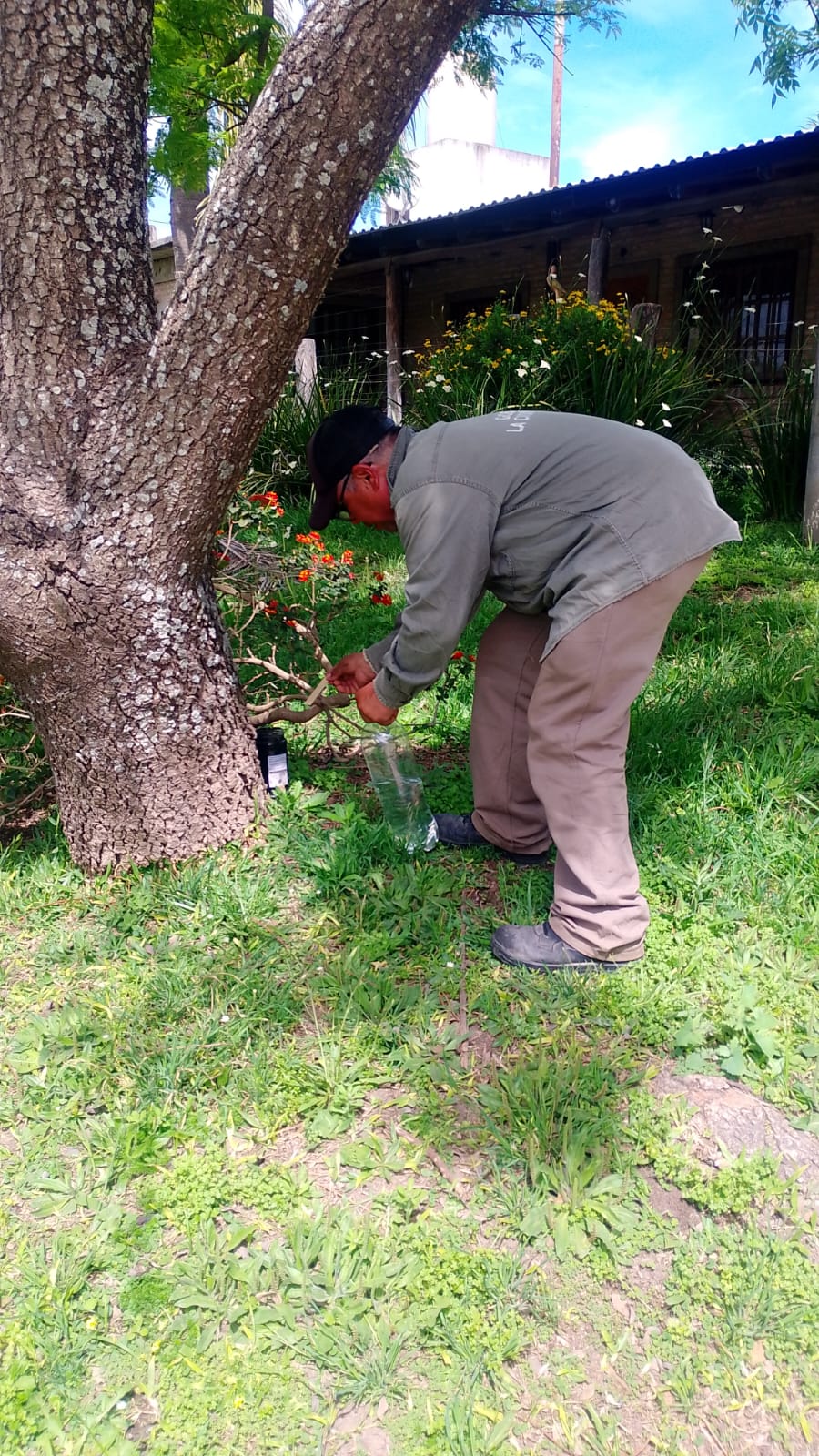 La Paz refuerza la prevención del dengue: comenzó el monitoreo del mosquito Aedes aegypti en distintos puntos de la ciudad