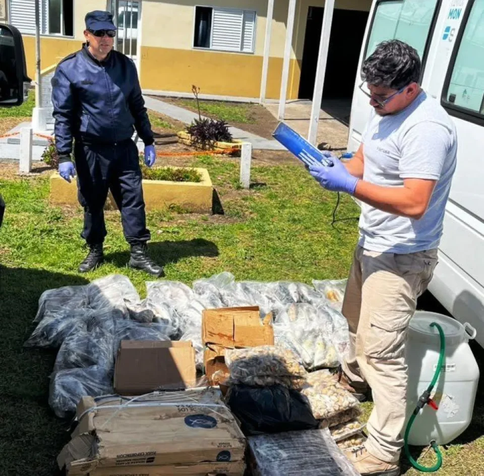 En operativo sobre la Ruta 127 decomisan 200 kilos de pescados y mariscos transportados sin controles sanitarios